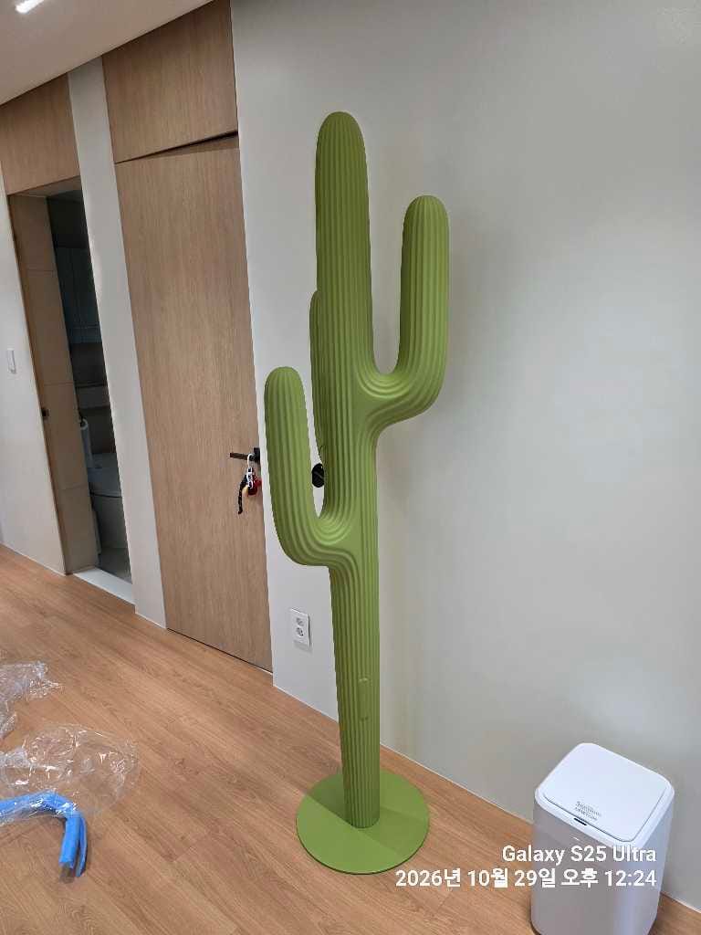 Customer photo review of Saguaro Coat Rack