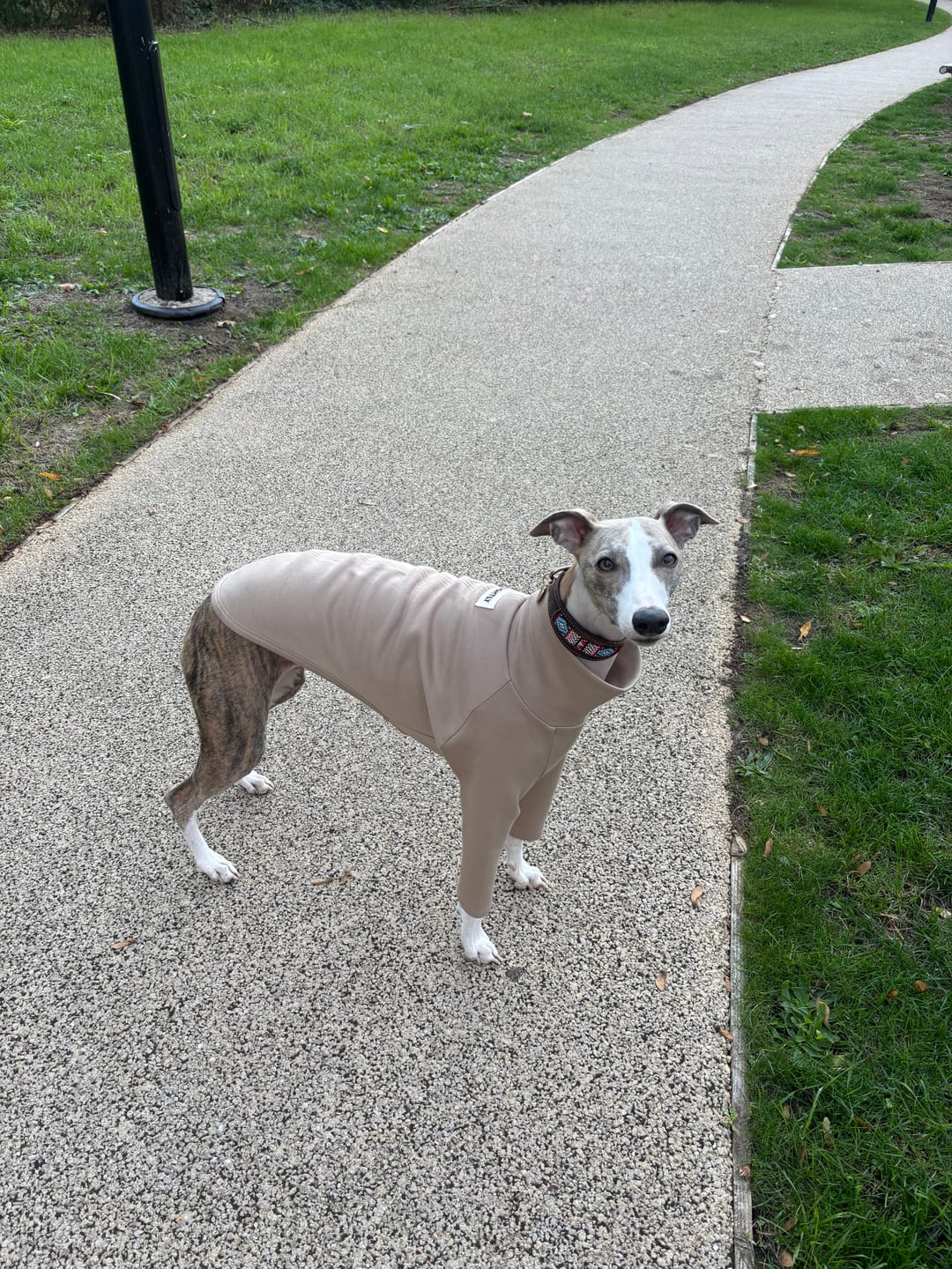 Customer photo review of 2-Legged Jumper in Beige