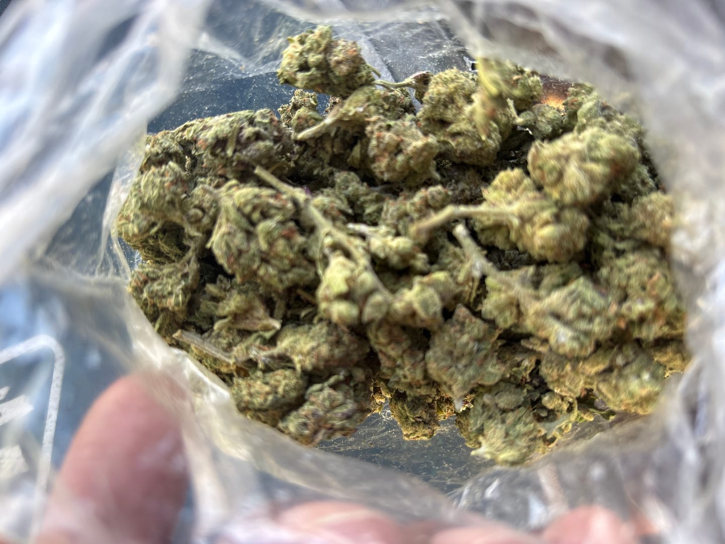 Customer photo review of THCA Queen
