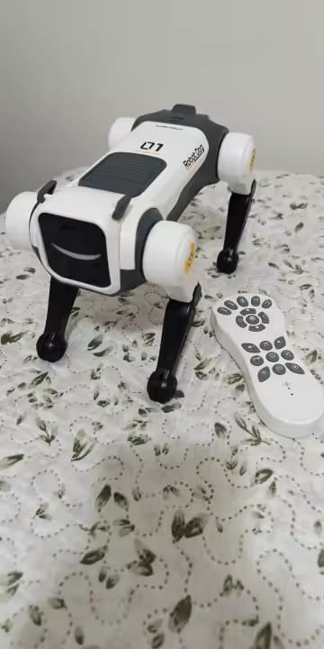 Customer photo review of Chien robot intelligent