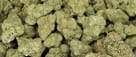 Customer photo review of Strawberry Cough THCA Flower
