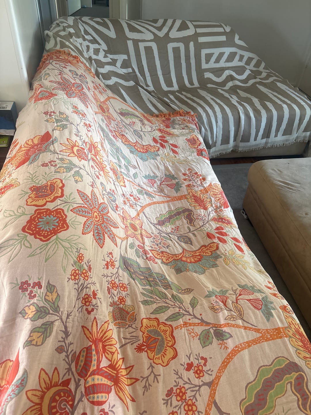 Customer photo review of CouchCare™️ Pro Couch Protector