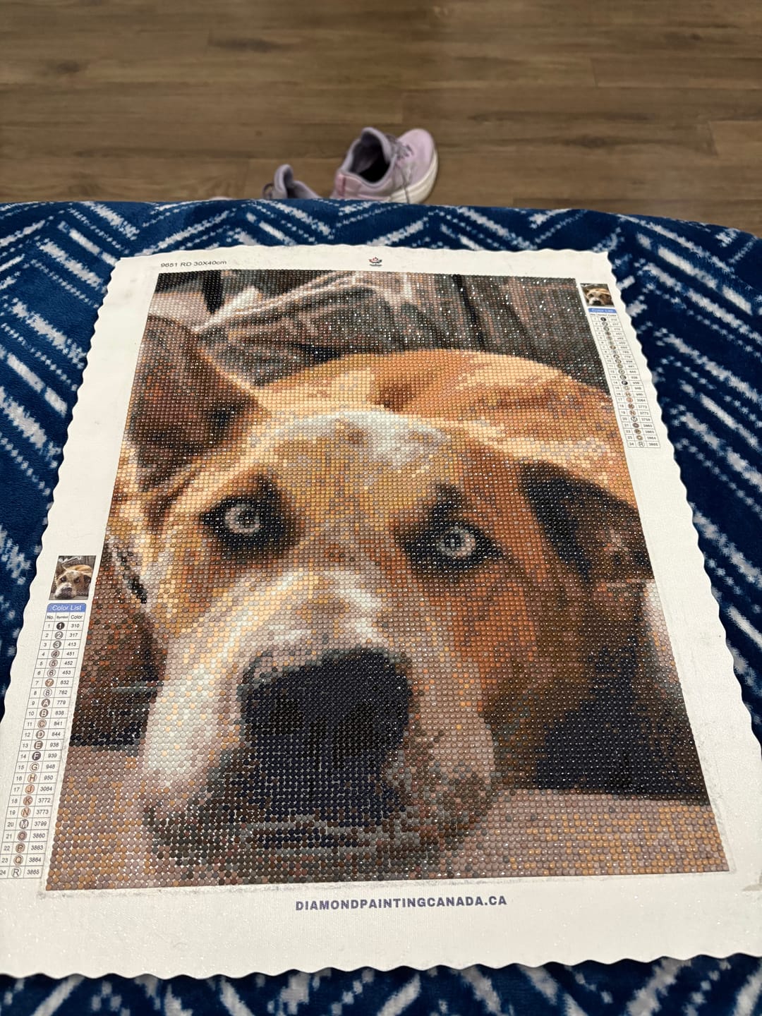 Customer photo review of Custom Diamond Painting
