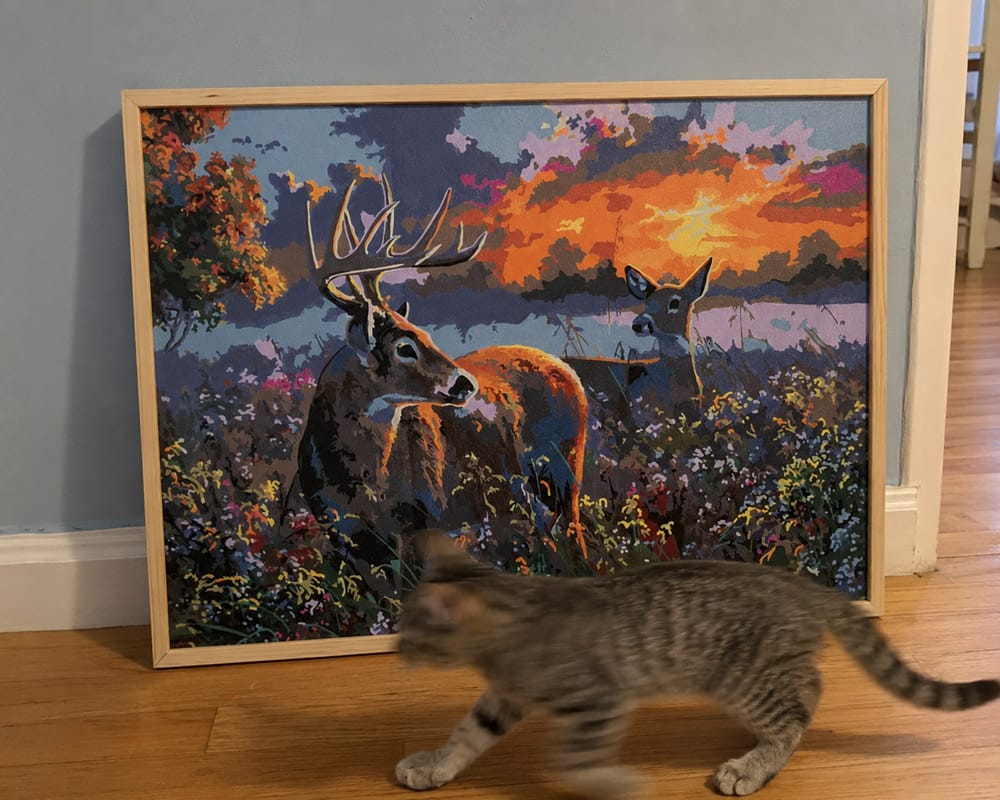 Customer photo review of Couple de cerfs