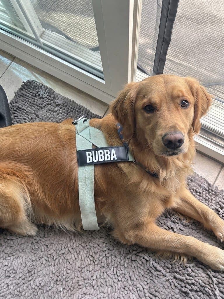 Customer photo review of Arnés personalizado para perros