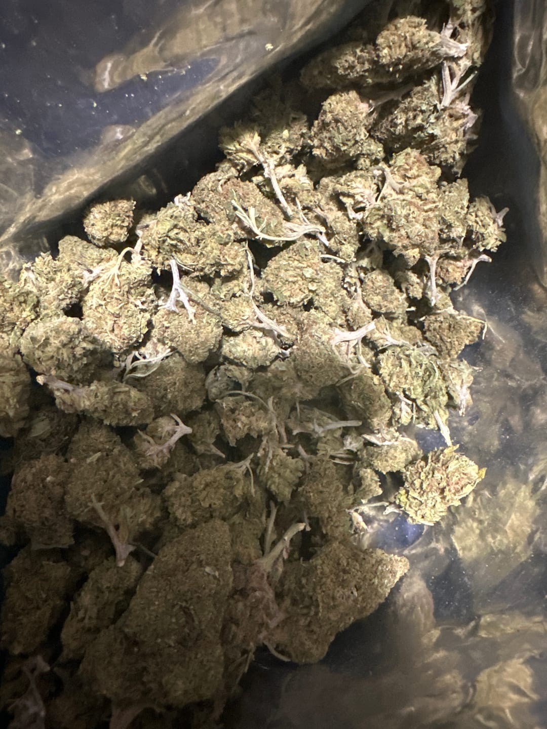 Customer photo review of Cheap THCA Flower Quarter Pound