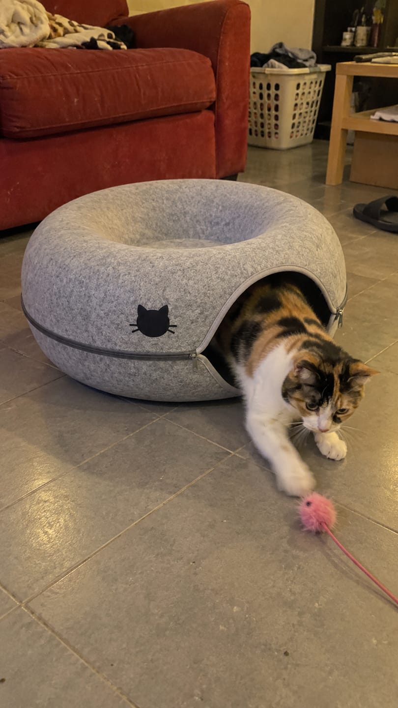 Customer photo review of Túnel Antiaburrimiento para Gatos