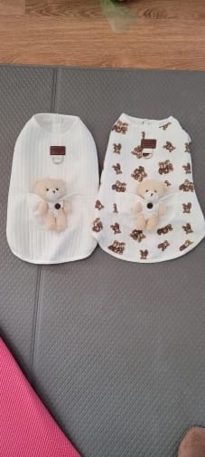Customer photo review of Teddy Bear Dog Harness Vest for Small Dogs