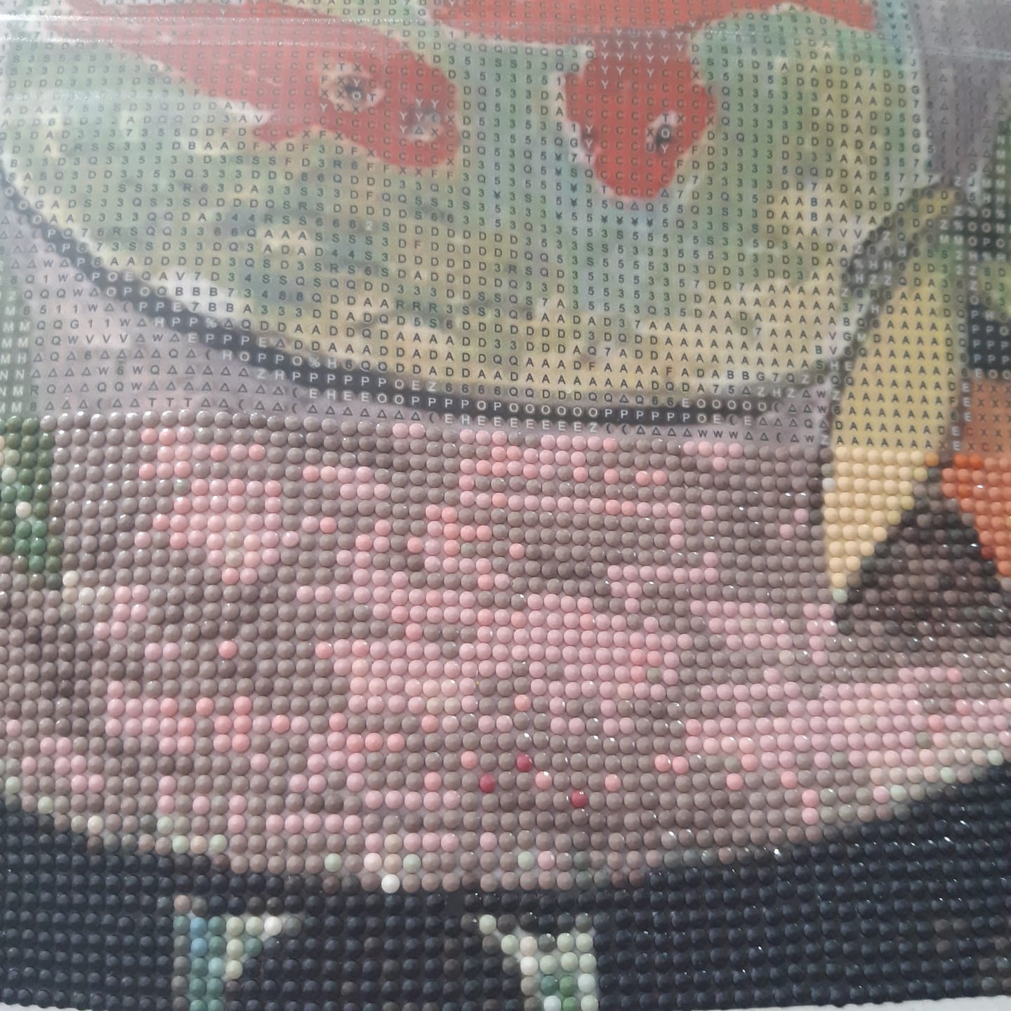 Customer photo review of Diamond Painting - Les Poissons rouges - Matisse