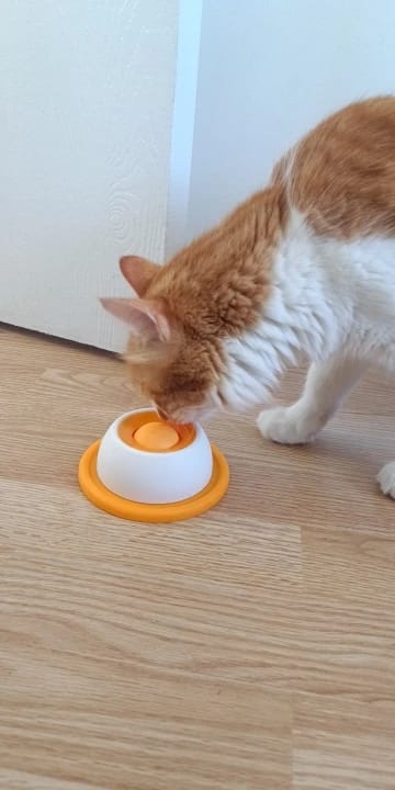 Customer photo review of Spinning Dog Lick Ball with Suction Cup Base