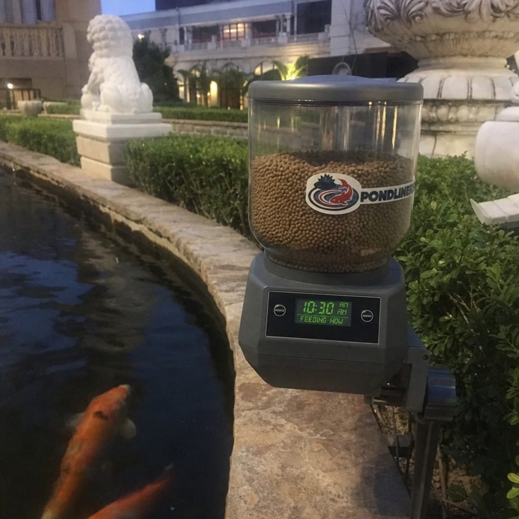 Customer photo review of Large Pond Fish Feeder UK | 4.5L Capacity | Timer Controlled | Moisture Proof | Koi Ponds