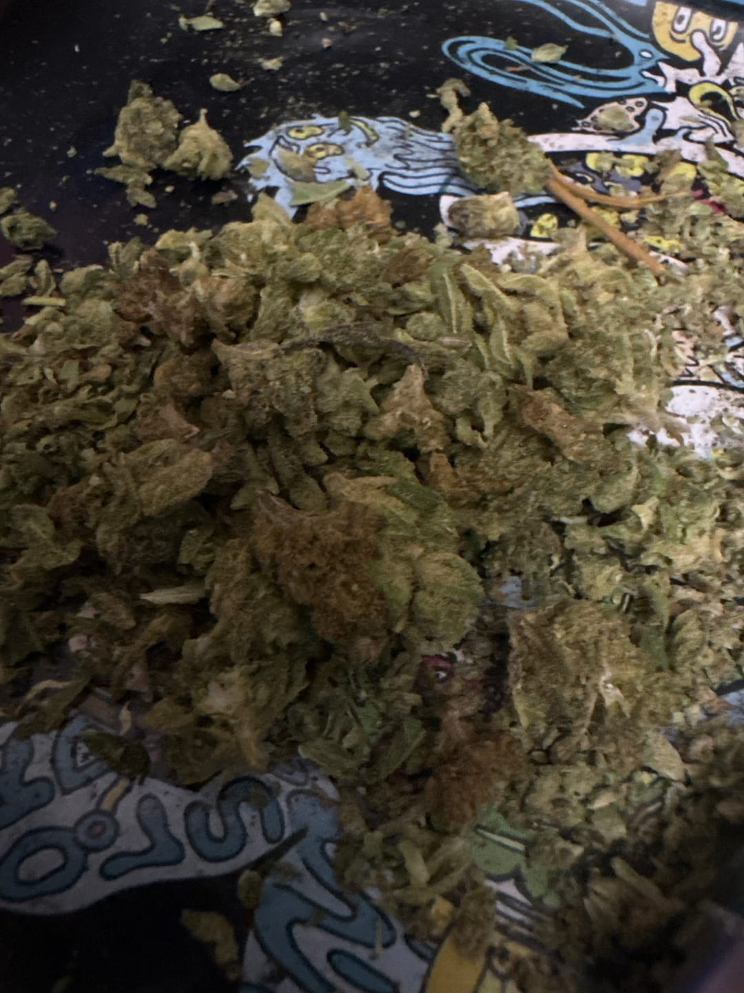 Customer photo review of KIND - Jungle Gelato - 28 Grams - Indica