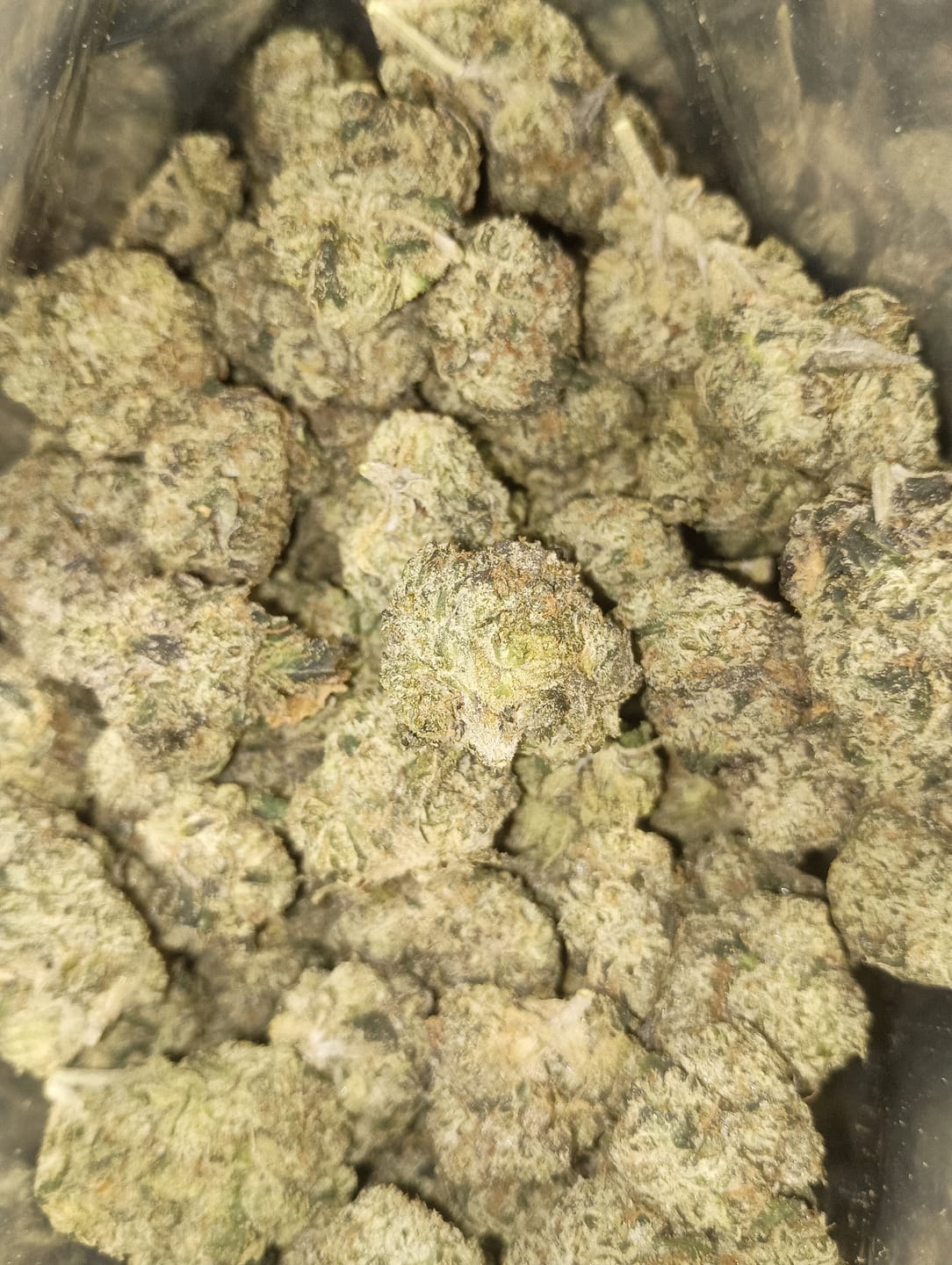 Customer photo review of Obama Runtz Exotic THCA