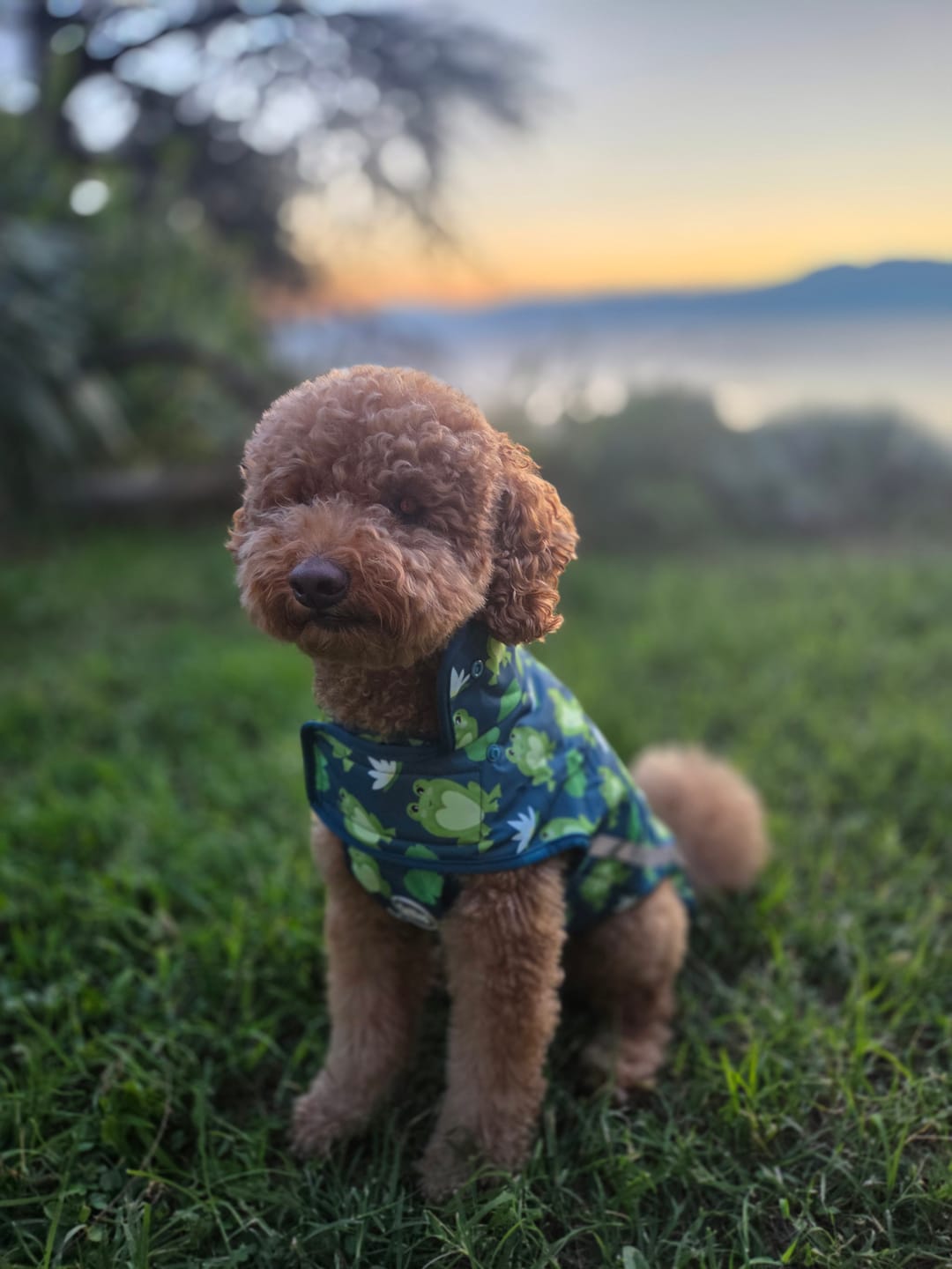 Customer photo review of Rain Jacket - Frogging Fabulous
