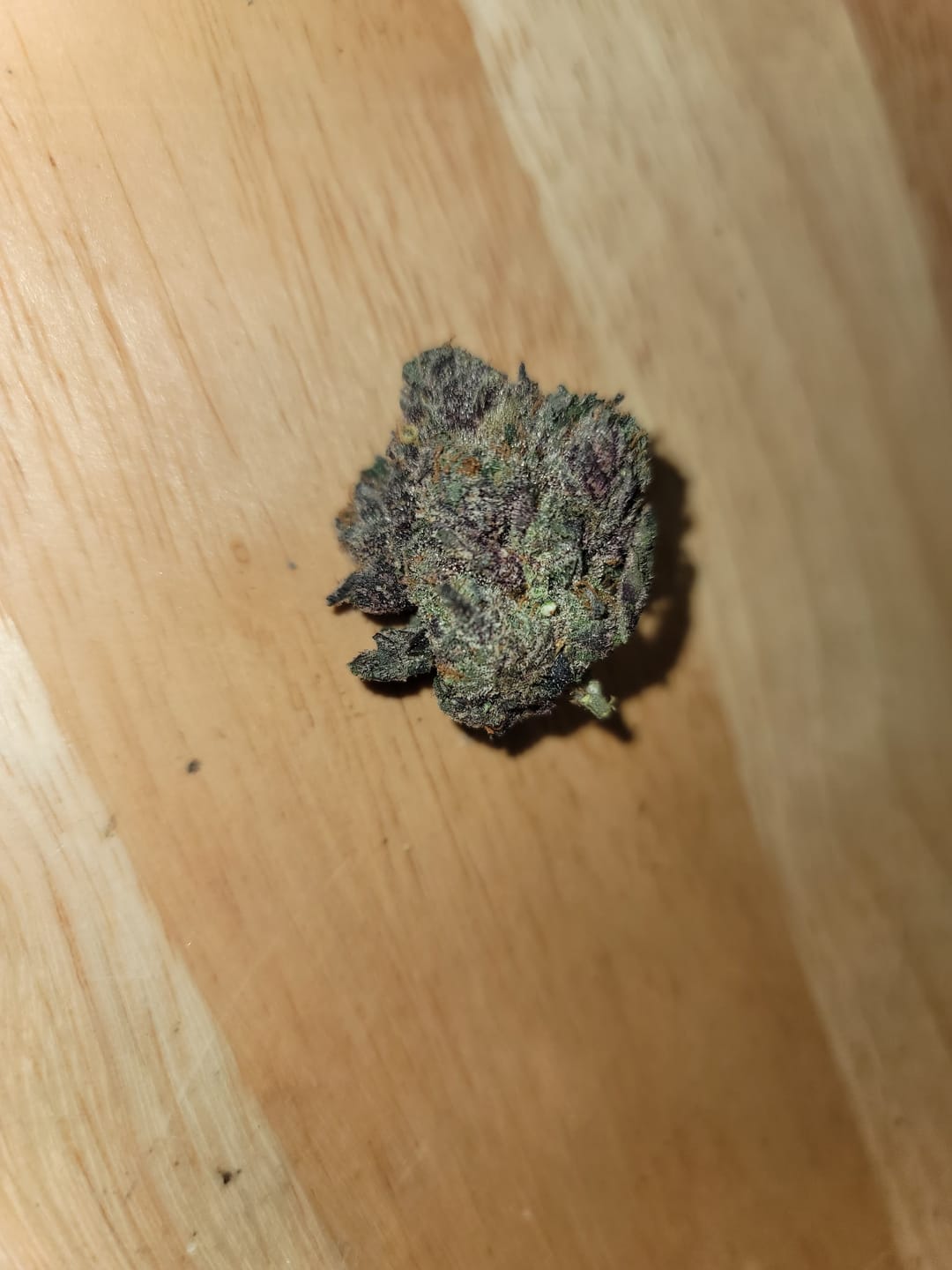 Customer photo review of Gush Mintz THCA Flower (Premium)