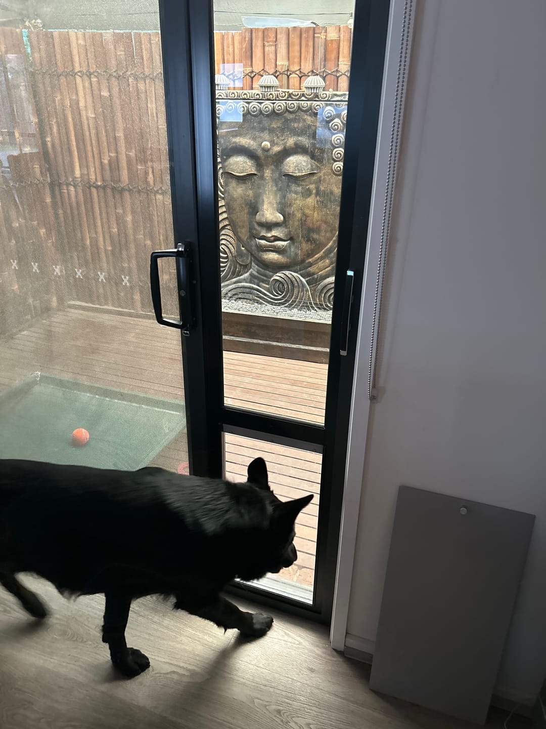 Customer photo review of Pet Door Inserts