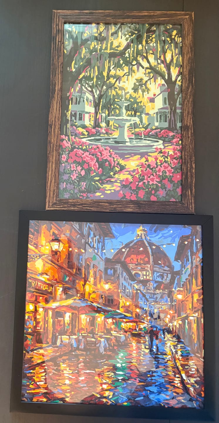Customer photo review of Forsyth Park, Savannah (Paint by Numbers)