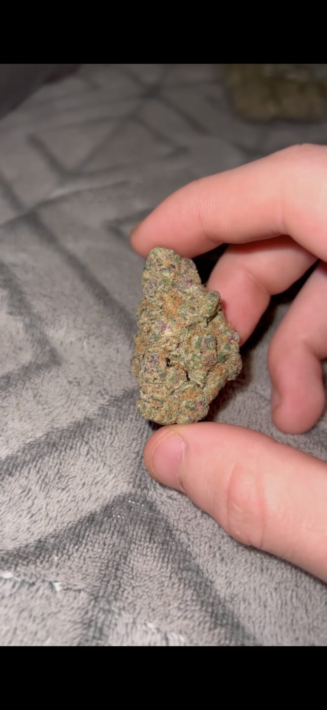 Customer photo review of THC Shot
