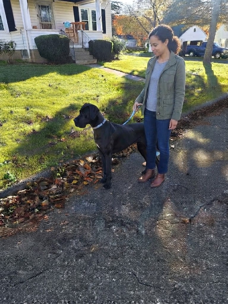 Customer photo review of Arnés personalizado para perros
