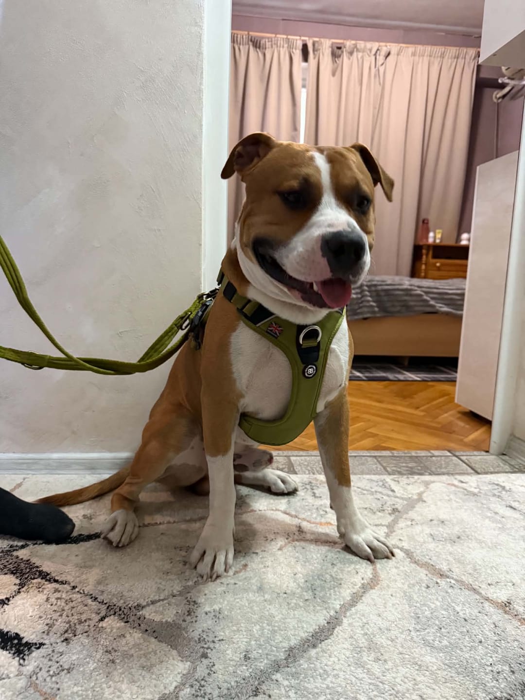 Customer photo review of Anti Pull Hurricane Harness Lighter | With Handle - Olive Green