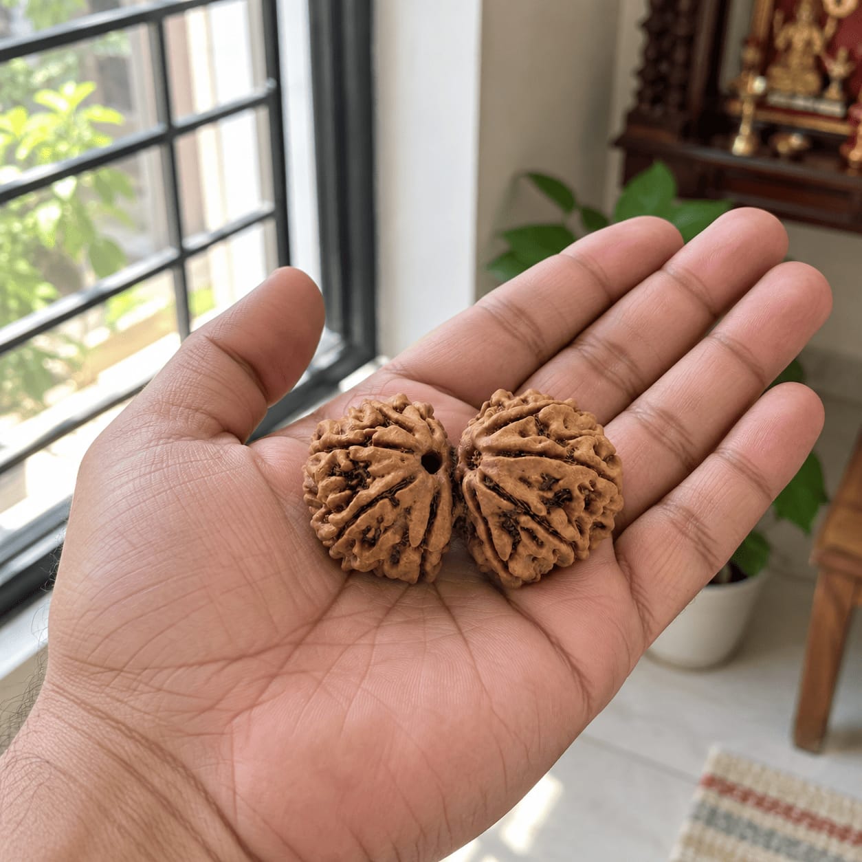 Customer photo review of Gauri Shankar Rudraksha (Nepali)