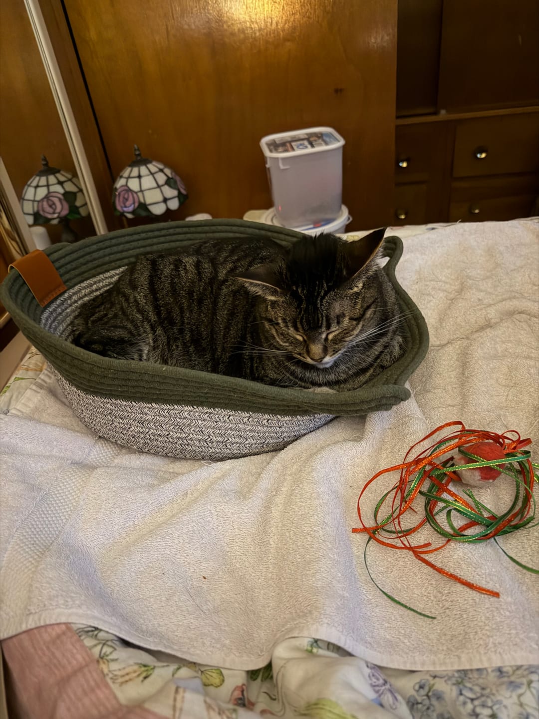 Customer photo review of Instinct Mat | The Scratching Mat Her Biology Actually Recognizes (NEW)