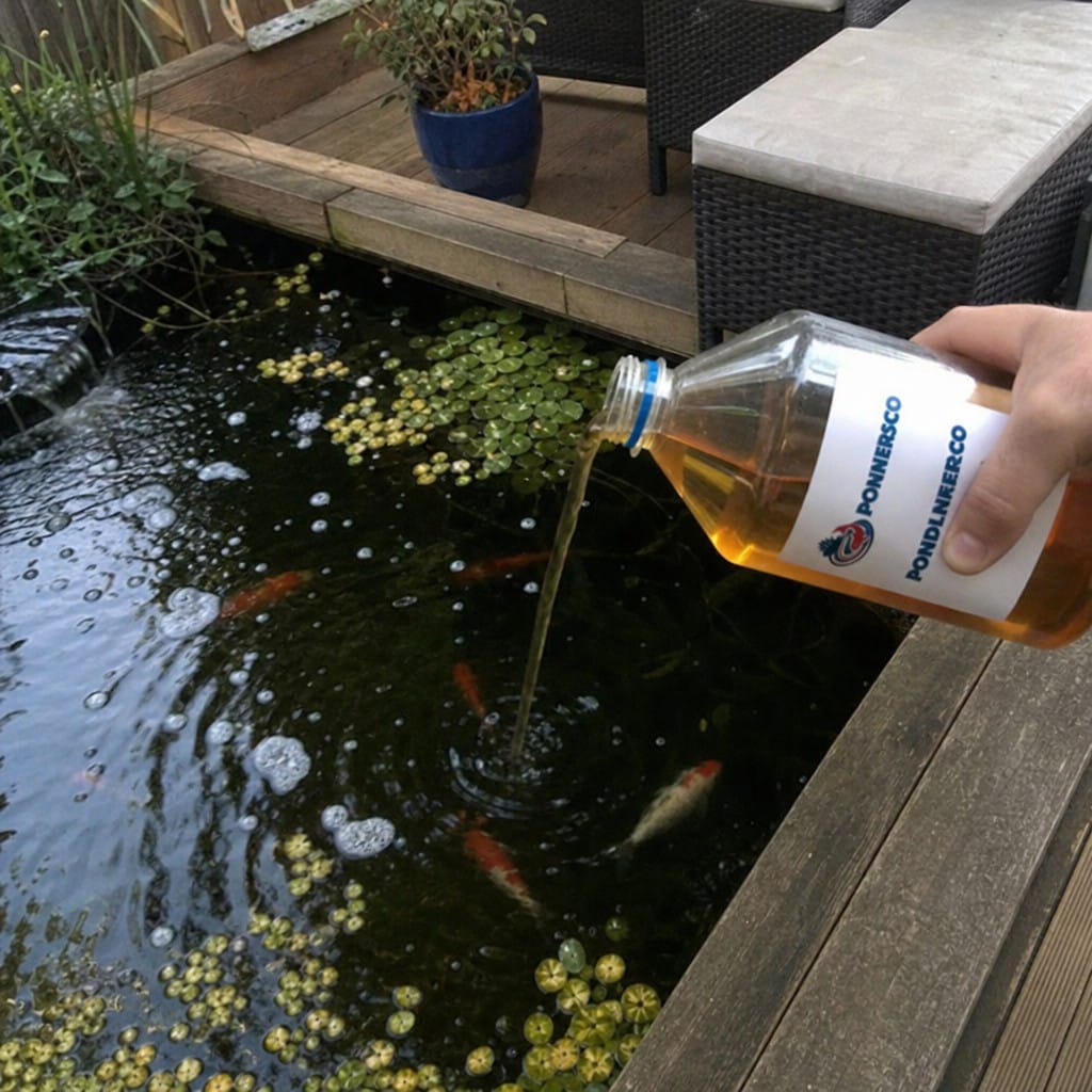 Customer photo review of Pond Fish Treatment UK | Anti-Parasite and Ulcer | Treats White Spot and Bacterial Infections