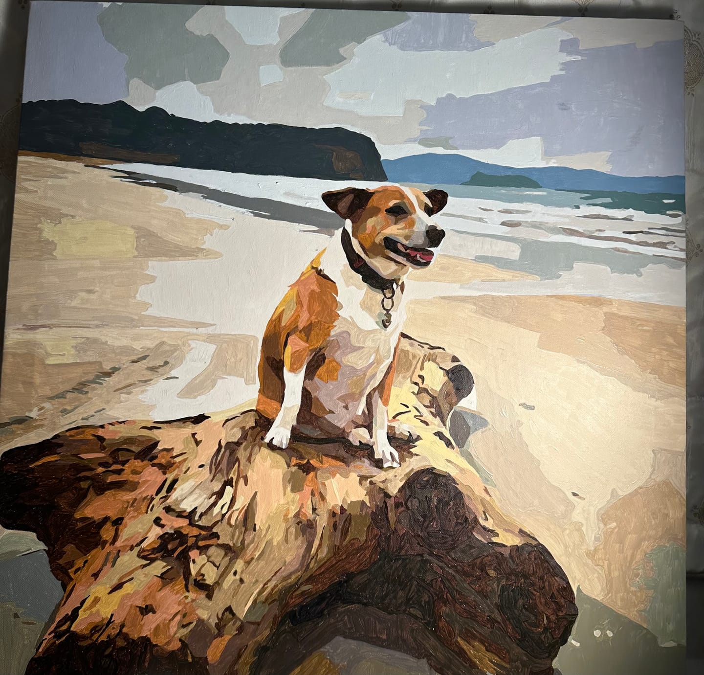 Customer photo review of Pet Custom Paint by Numbers
