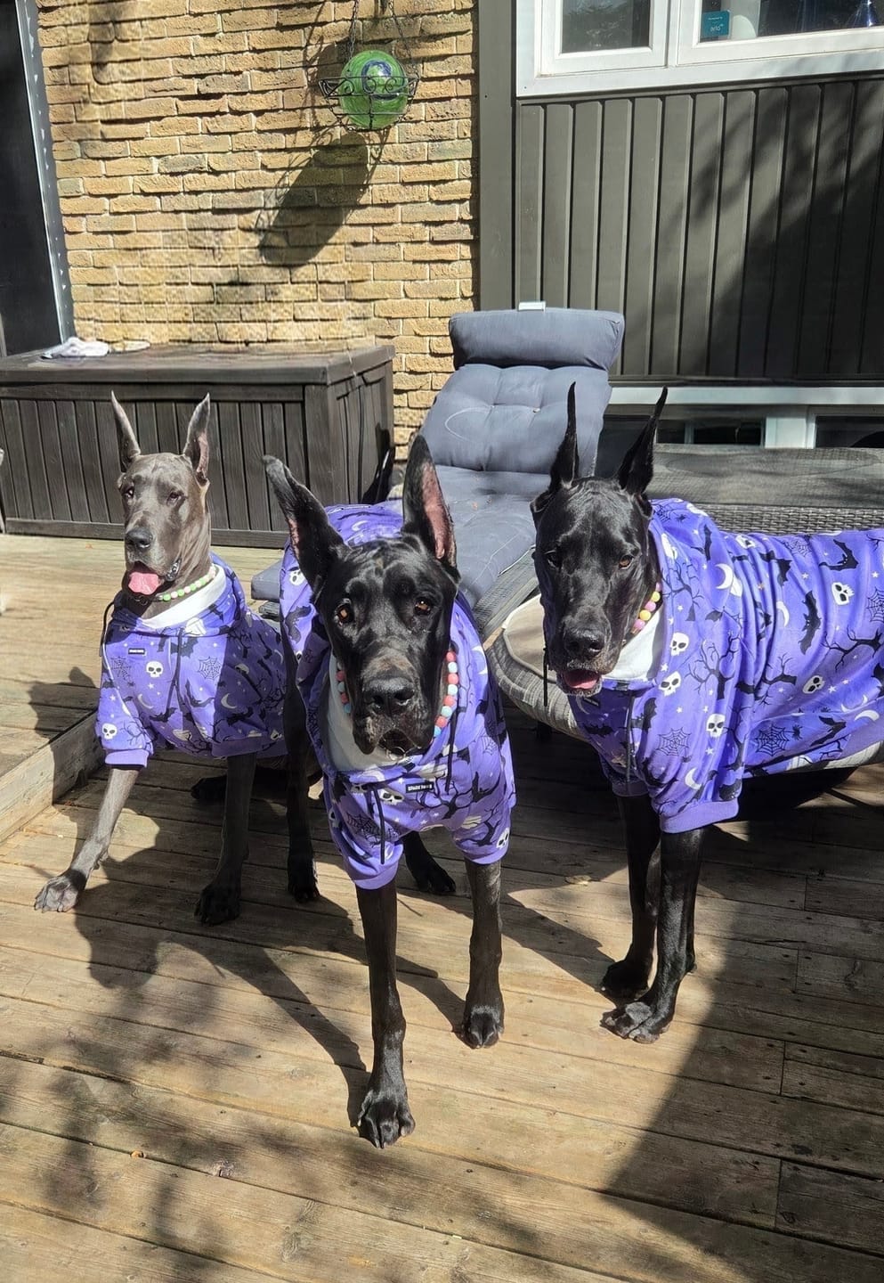 Customer photo review of Halloween Human Hoodie - Purple