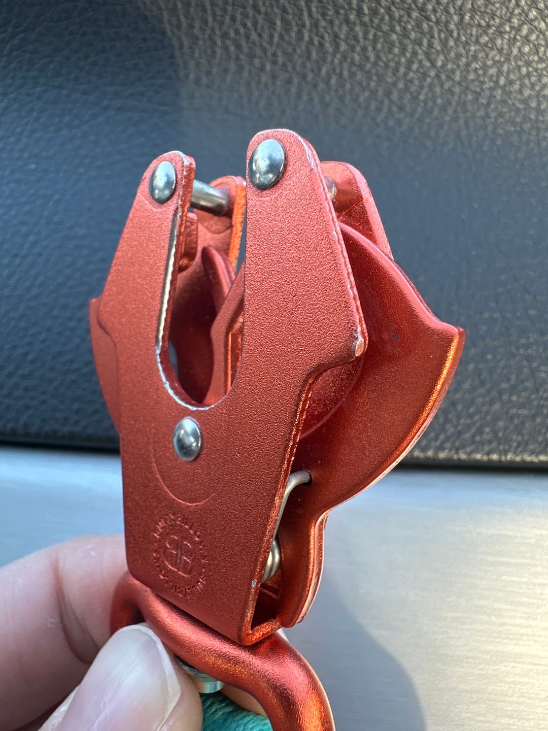 Customer photo review of Lightweight Training Double Ended Dog Leash | 2m Length - Turqouise x Orange