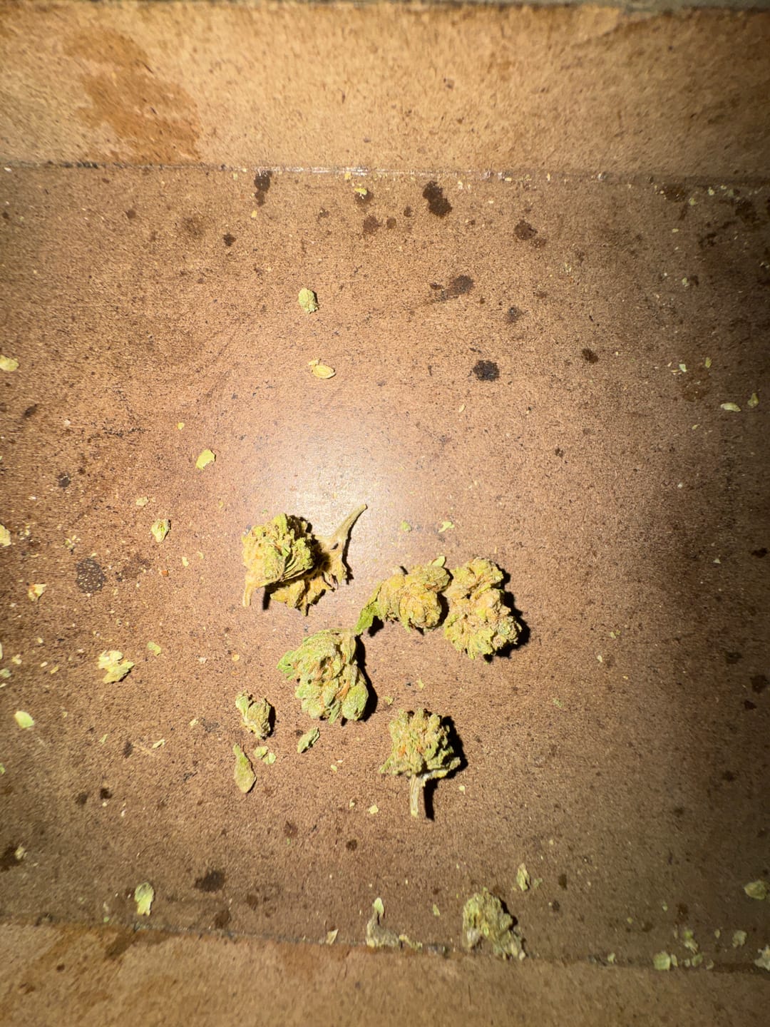 Customer photo review of Cheap THCA Smalls Ounce