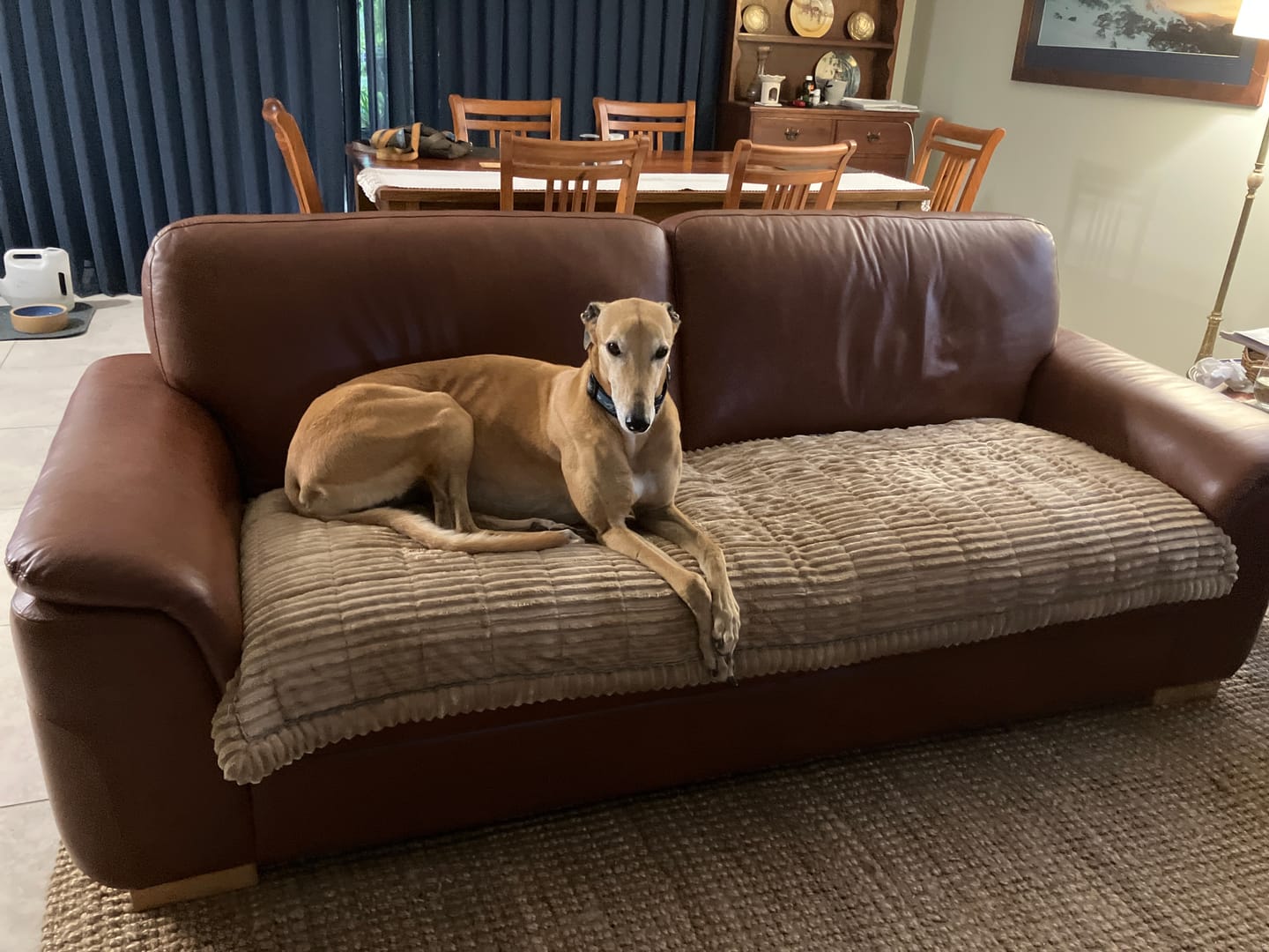 Customer photo review of Cosy Couch - Couch Cover