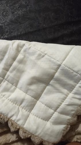 Customer photo review of Non Slip Couch Cover for Dogs and Cats