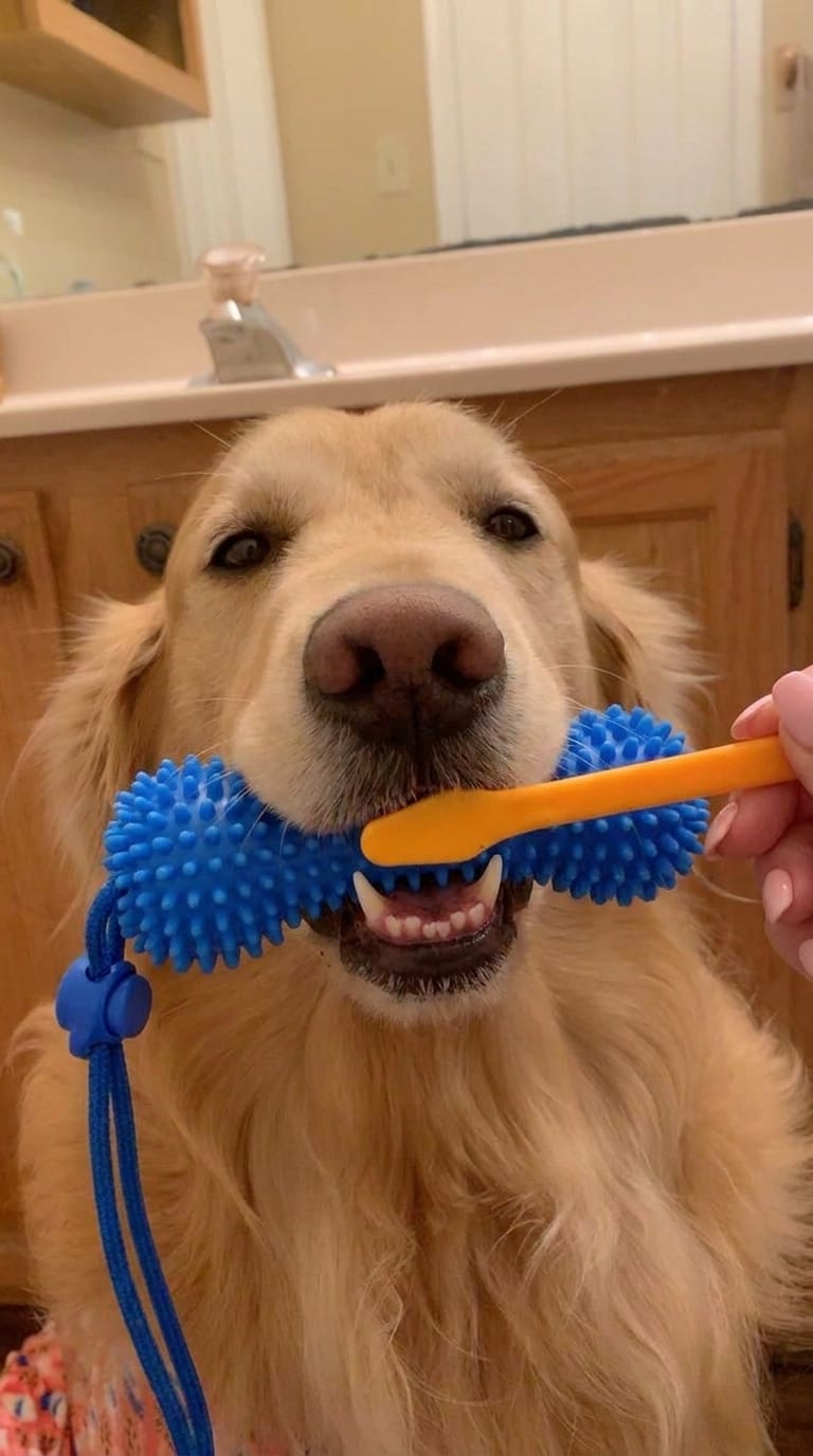 Customer photo review of Muffly™ Dental Bone – Cleans Teeth & Fresh Breath