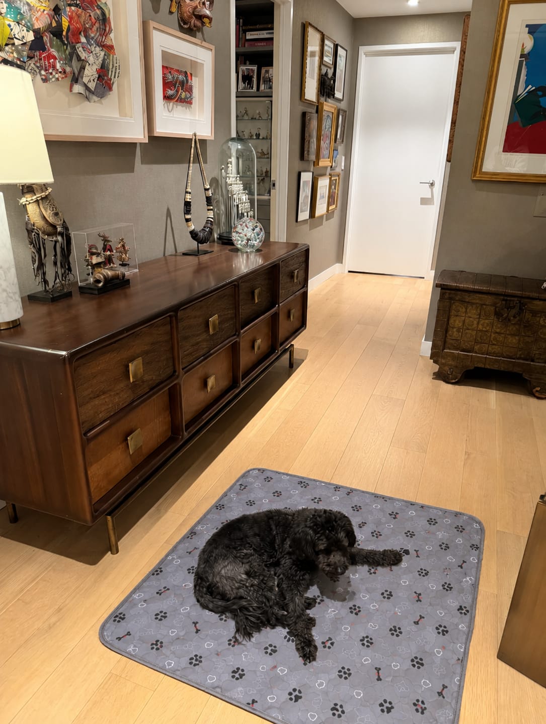 Customer photo review of Pawloo™ Tapete Inteligente para Perros