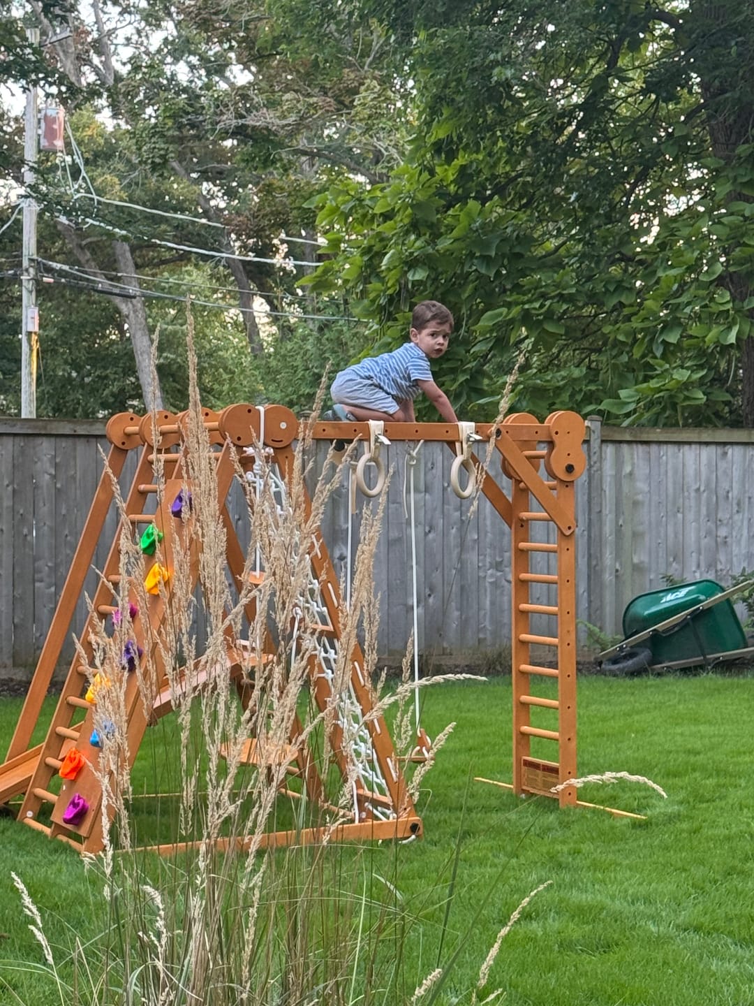 Customer photo review of Chestnut | Foldable Jungle Gym