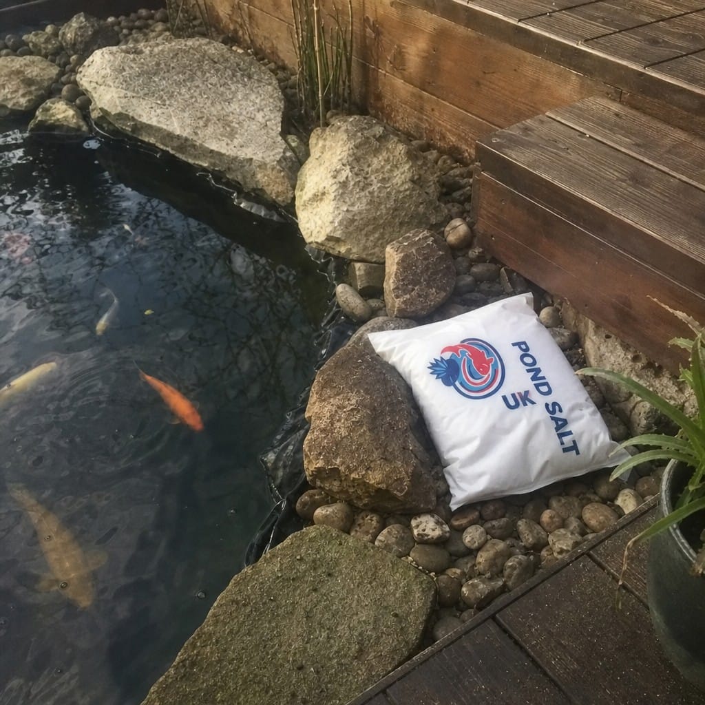 Customer photo review of Pond Salt UK | Pure Aquatic Salt for Koi & Goldfish | Reduces Stress | Aids Recovery