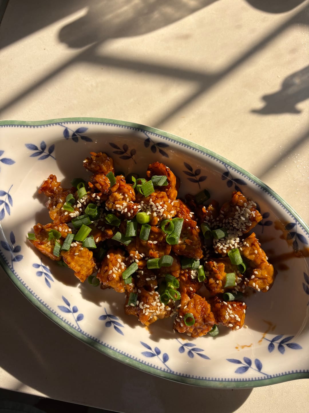 Customer photo review of Traditional Tempeh