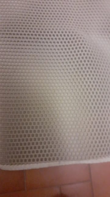 Customer photo review of Double Layer Honeycomb Cat Litter Mat for Indoor Cats