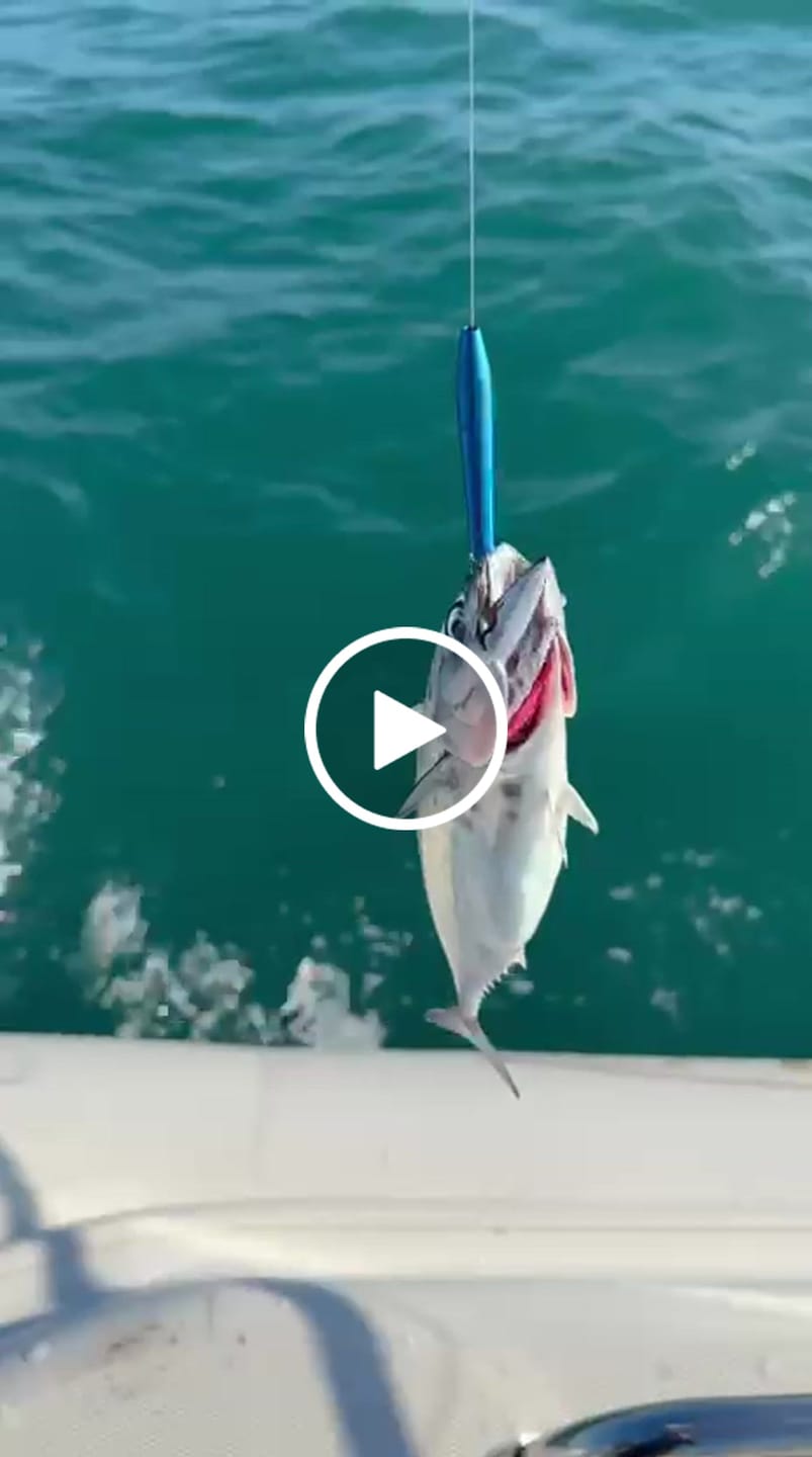 Customer video review of Dorado Stick