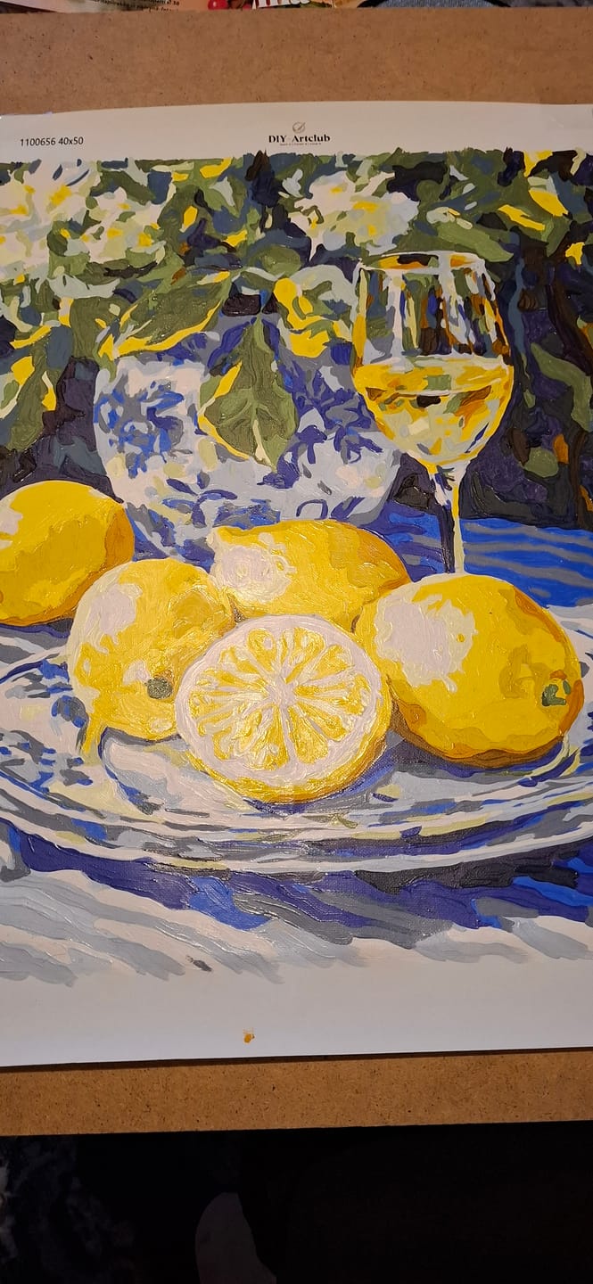 Customer photo review of Lemons and Wine | Paint by Numbers