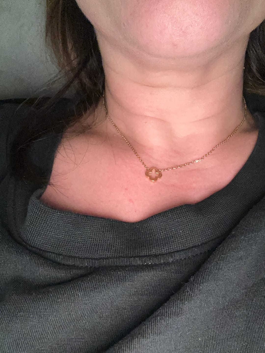 Customer photo review of Classic Clover Pendant Necklace