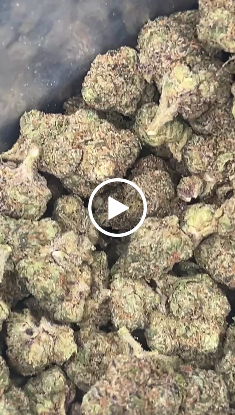 Customer video review of Delta Diamonds Exotic THCA