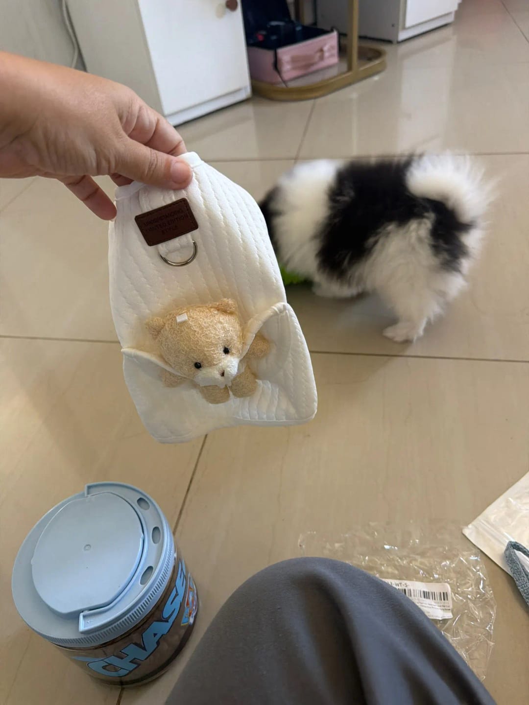 Customer photo review of Teddy Bear Dog Harness Vest for Small Dogs