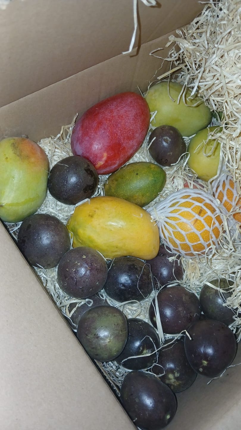 Customer photo review of Mango & Granatapfel Bio Box Aktionspreis % 4kg