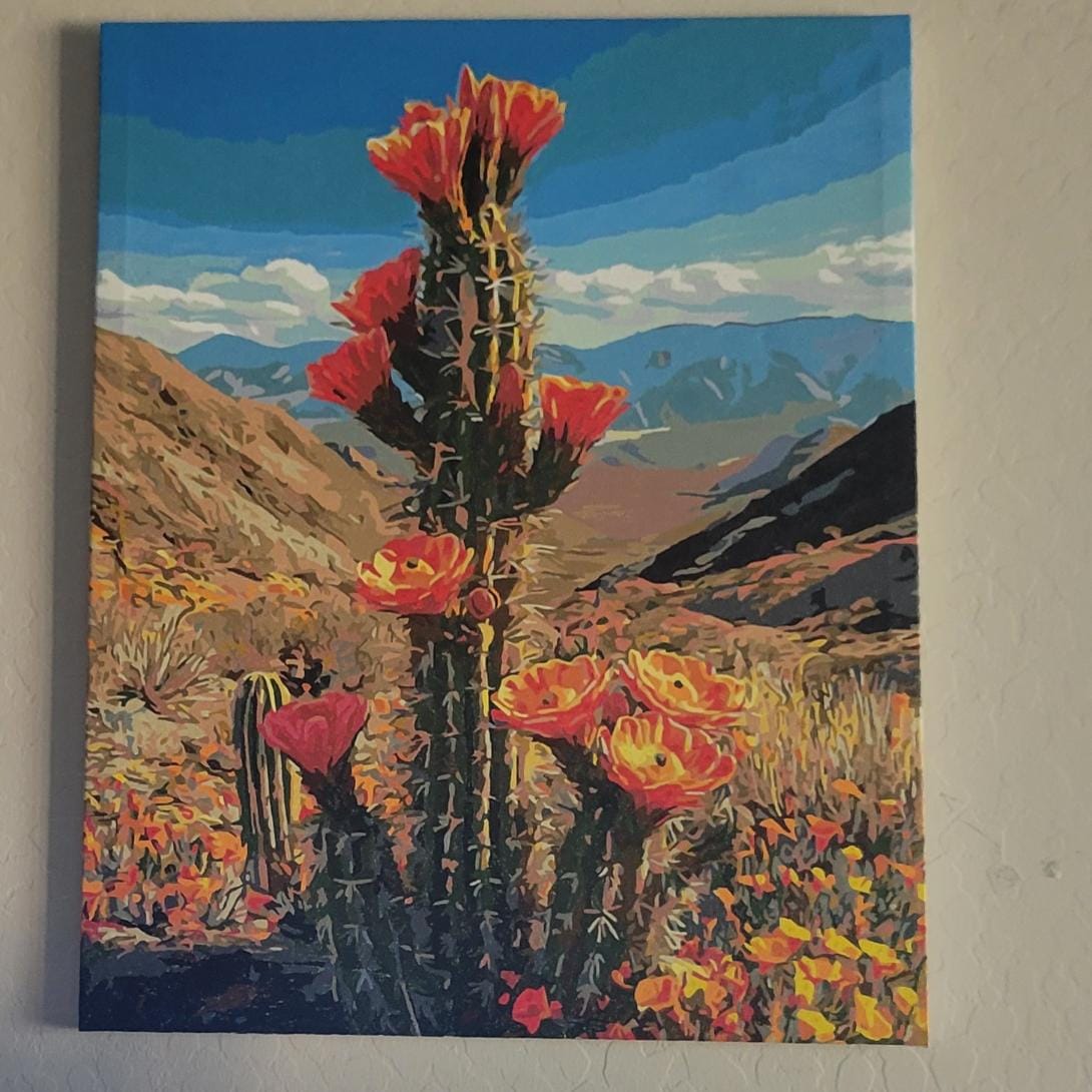 Customer photo review of Desert Cactus Bloom