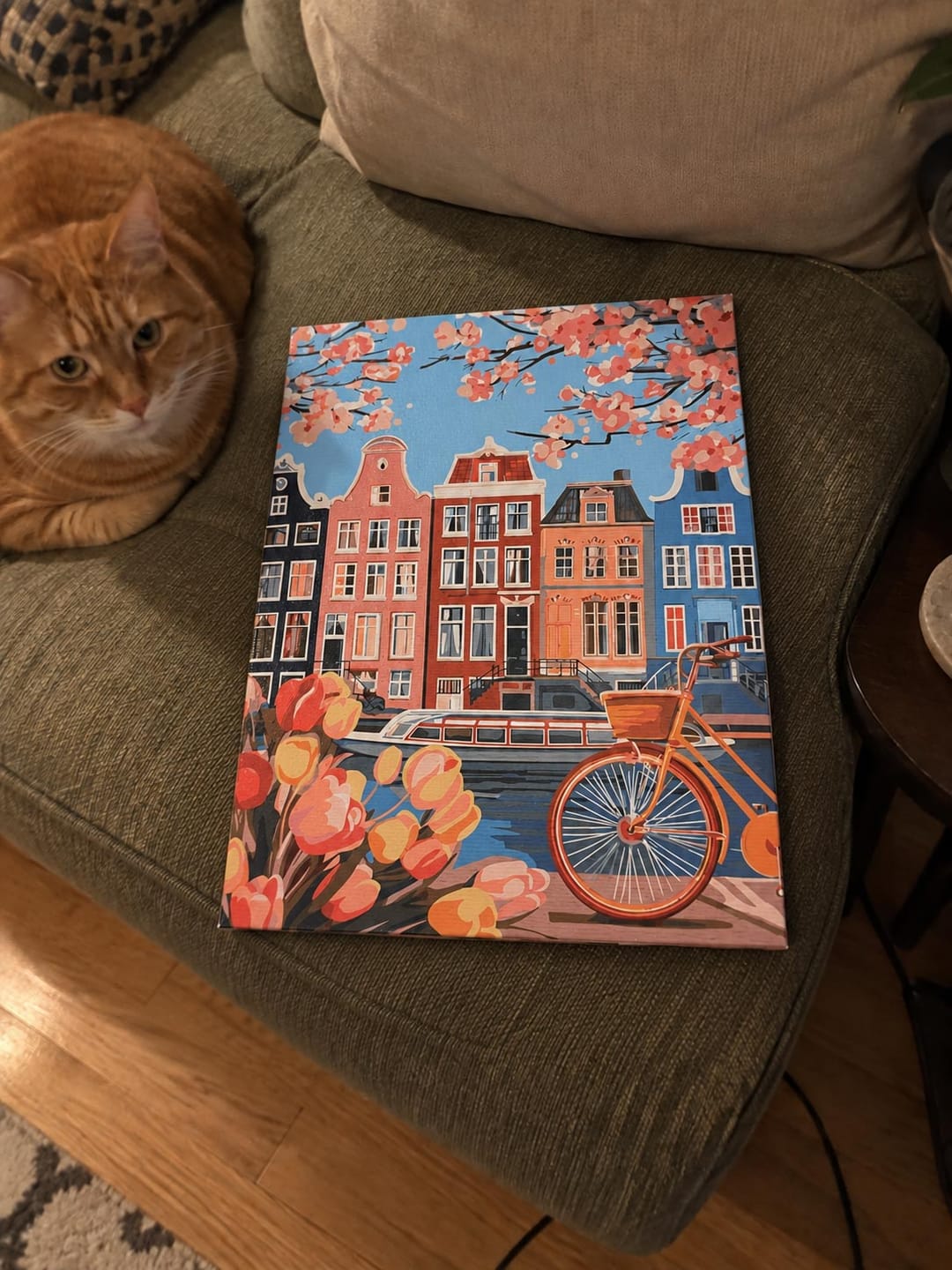 Customer photo review of Coffret Peinture par numéros - Printemps à Amsterdam
