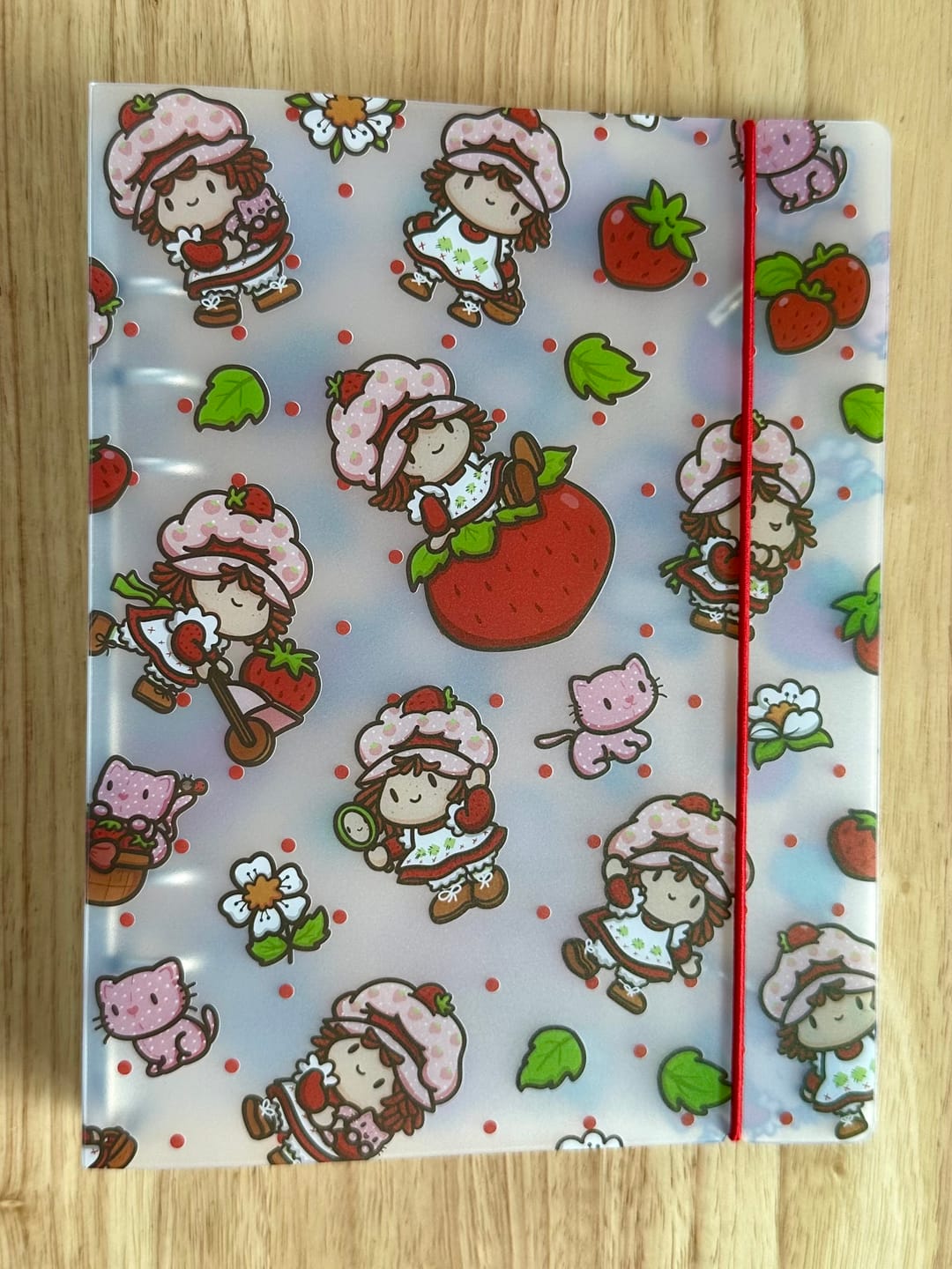 Customer photo review of Strawberry Shortcake Sticker Storage Binder
