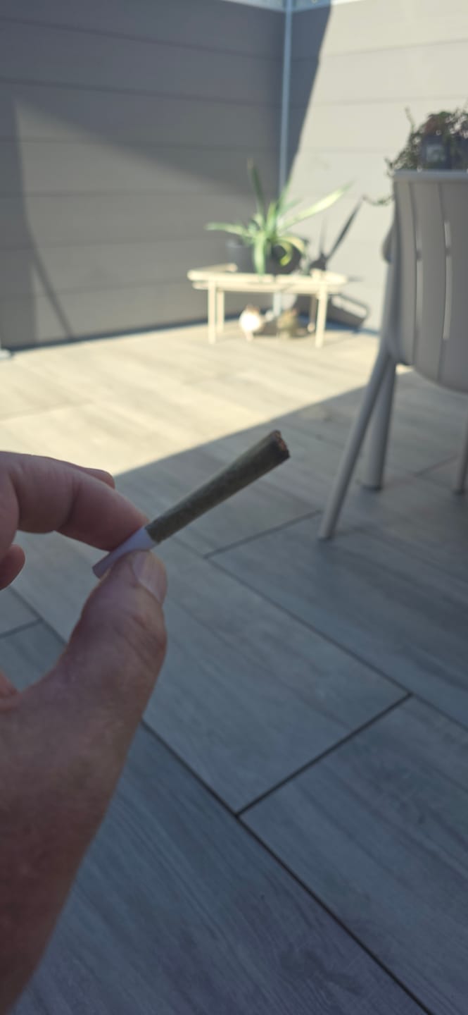 Customer photo review of Pineapple Express Preroll - H3 Ultra