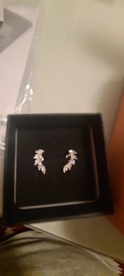 Customer photo review of Divine Winged Sparklers